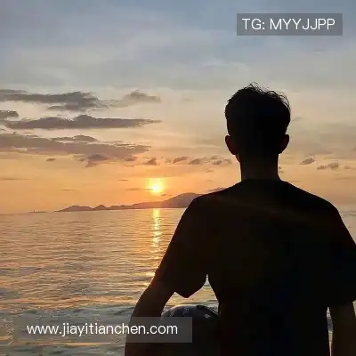 王秦准